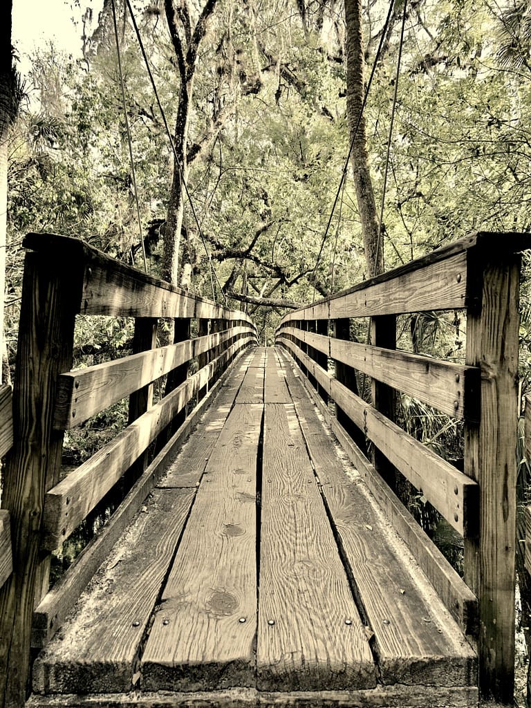 The Bridge Will Hold | Ryan Polly The Bridge Will Hold